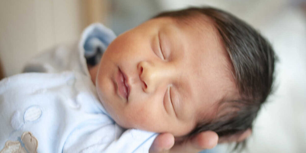 Fertility rate