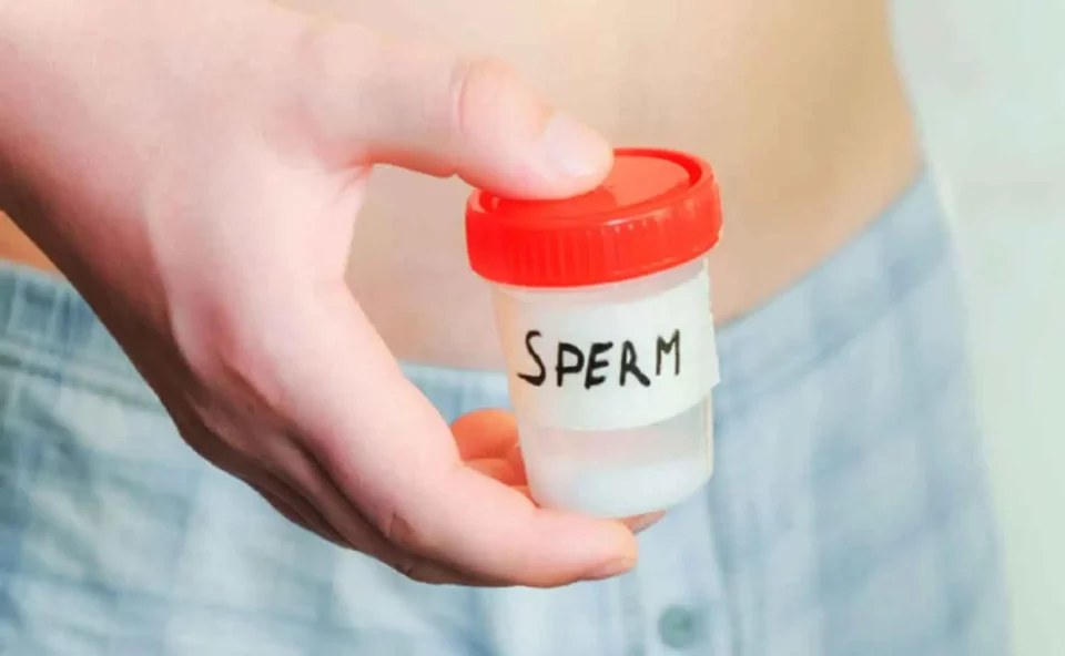 sperm Sperm counts