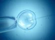 Donor Conception