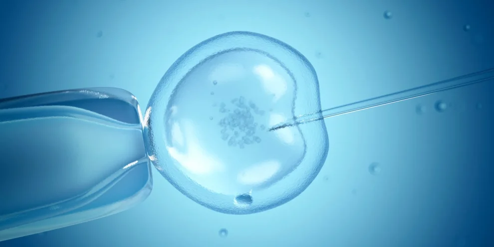Donor Conception