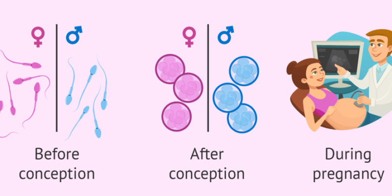 Can You Choose Your Baby's Gender