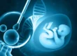 IVF babies